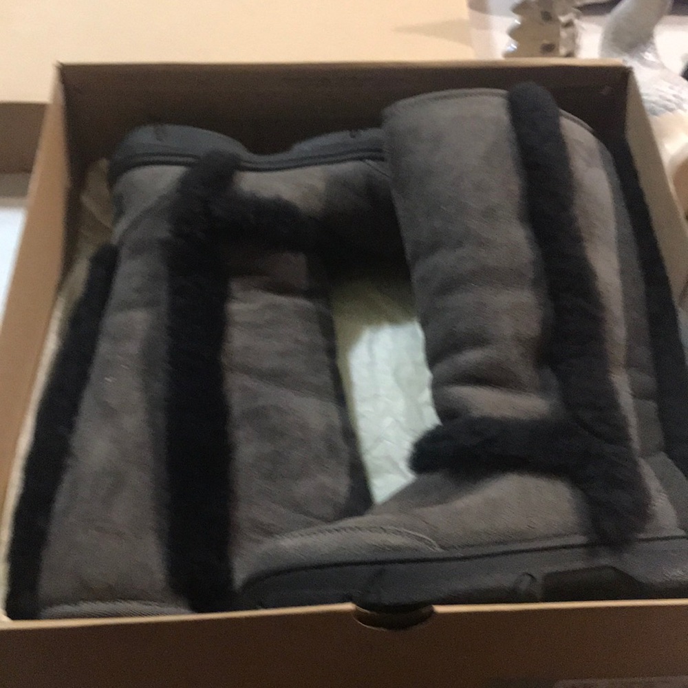 Raccoon sunburst uggs boots